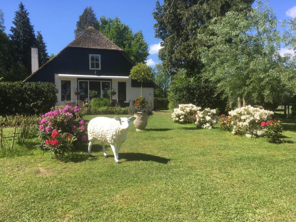 Winterswijk – Photos 2