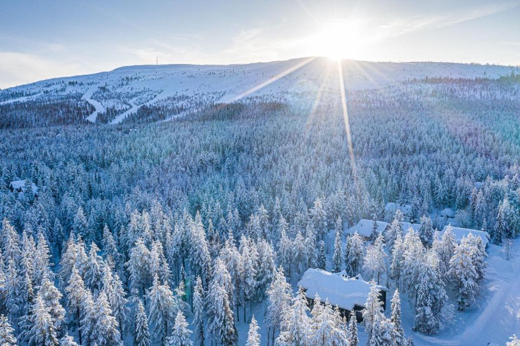 een uitzicht op een met sneeuw bedekt bos met de zon schijnt bij Rentorakka in Kittilä