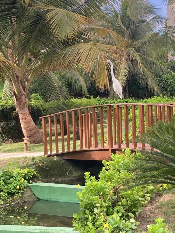  Beach Place Resort Bangalo 12