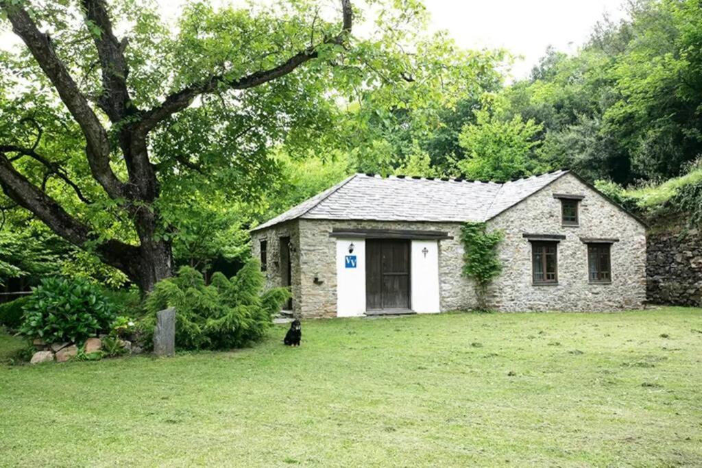 Stunning restored mill - WiFi - 10 Km from Beach, Piantes ...
