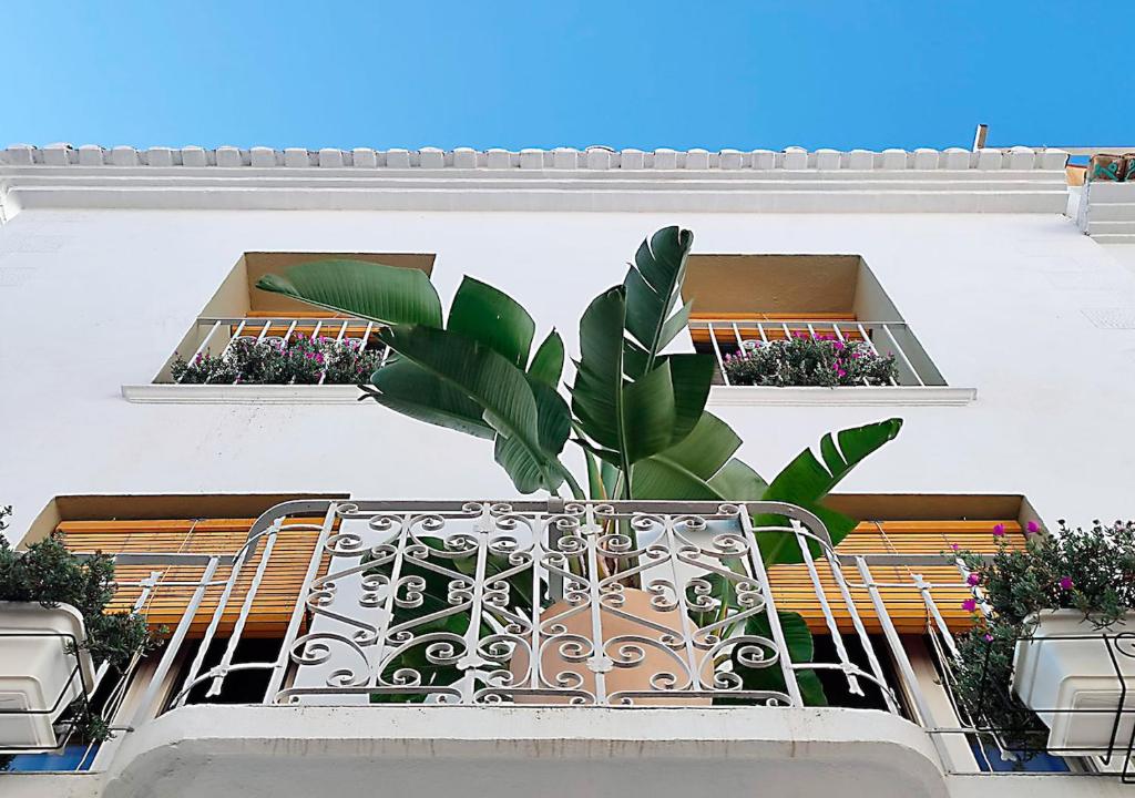 Balkón nebo terasa v ubytování Blue Sardine Hostal Boutique Altea