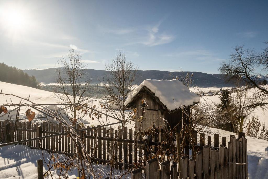 Příroda nedaleko apartmánu