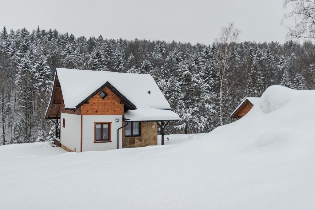 WANATÓWKA durante l'inverno