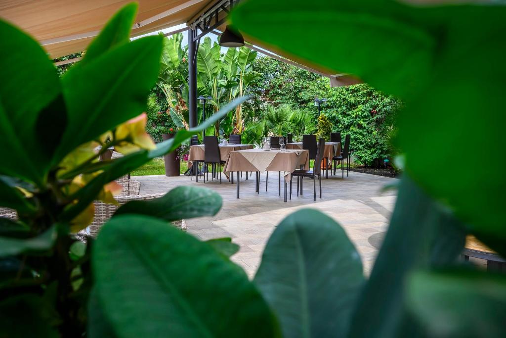 Villa San Lorenzo - Resim 22