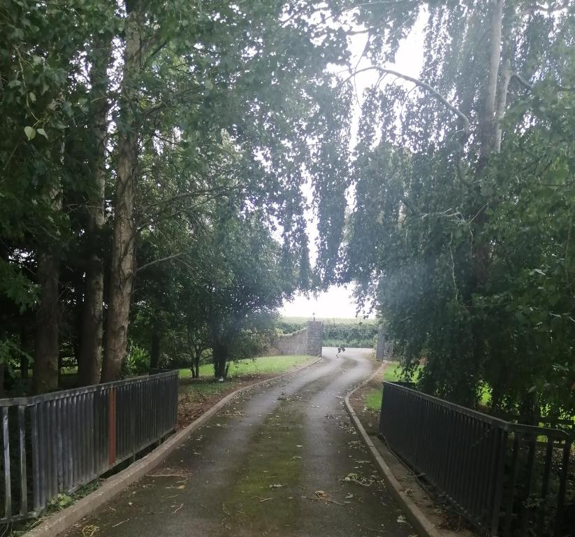 un camino de tierra con árboles y una valla en Delphi Lodge en Donaghmore