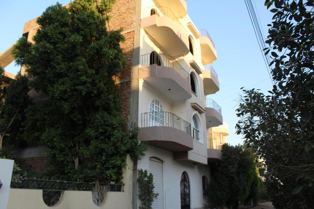 Un bâtiment blanc avec un arbre à côté dans l'établissement Al Ramla Guest House, à Louxor