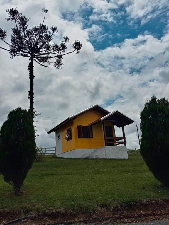 una pequeña casa amarilla en un campo con un árbol en Cabana Caminho das Borboletas, en Bom Retiro