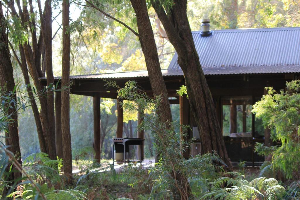 una cabaña de madera en el bosque con árboles en Marima Cottages, en Pemberton