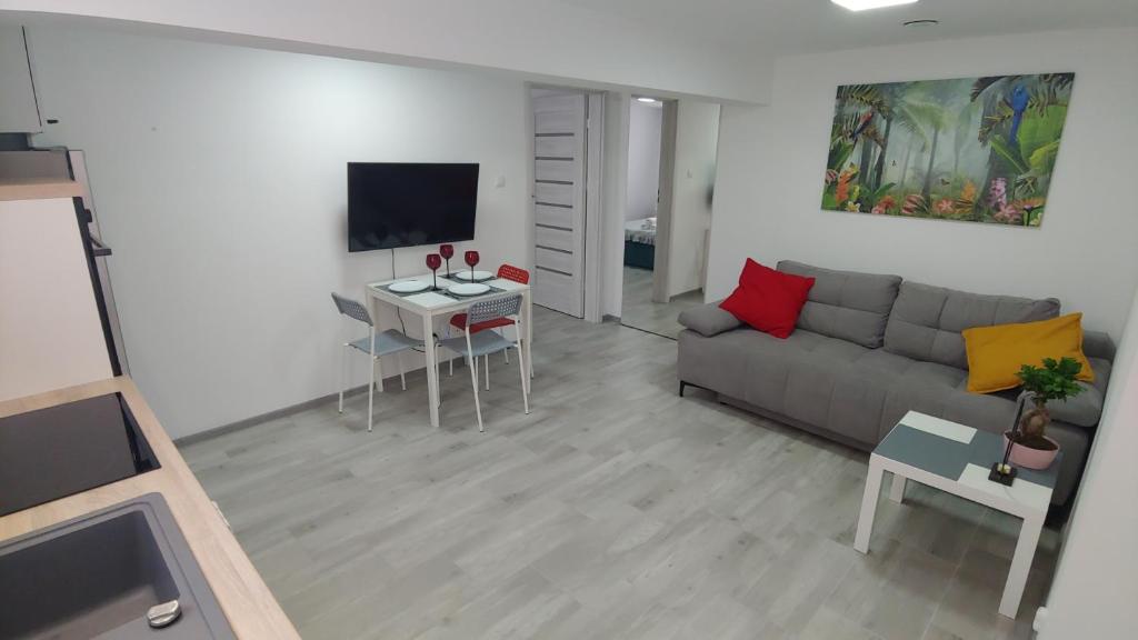 een woonkamer met een bank en een tv bij Apartament Arkadia Storczyk in Augustów