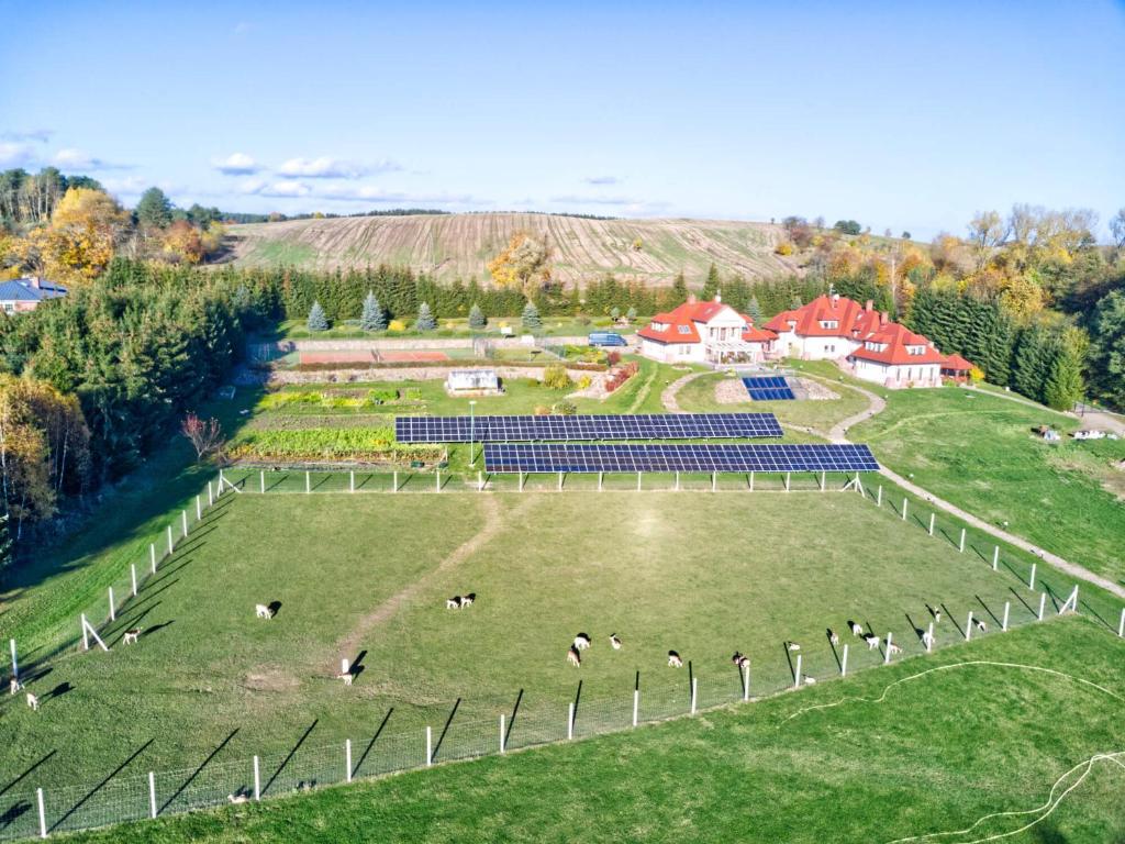 eine Luftansicht eines Feldes mit Tieren darin in der Unterkunft Przystań Nad Zatoką - Gospodarstwo Agroturystyczne in Lubieszewo