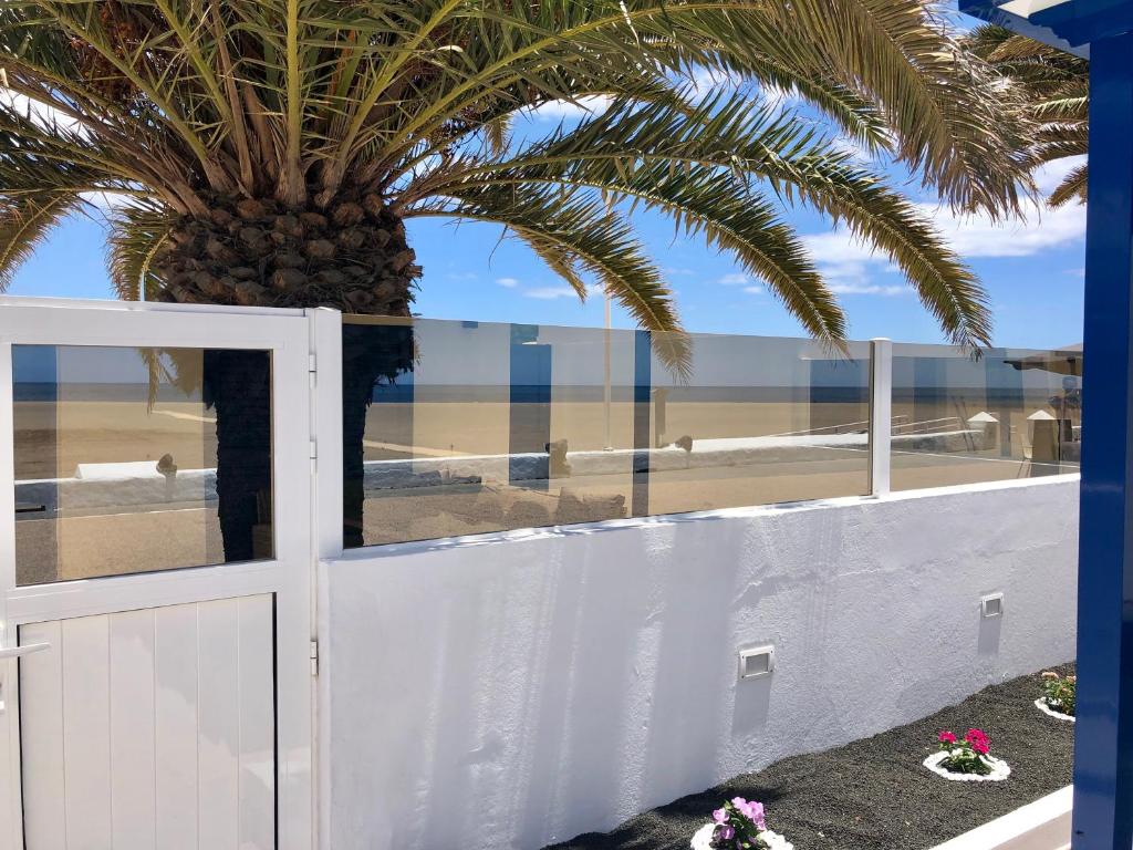 una palmera frente a una valla blanca con una palmera en SEA FRONT Apartamento frente al mar, en Playa Honda
