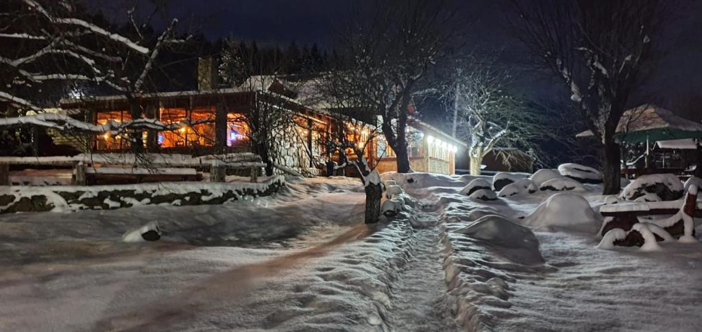 Casa Bunicului v zimě