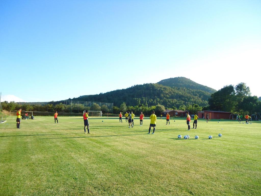 Príroda v okolí kempingu