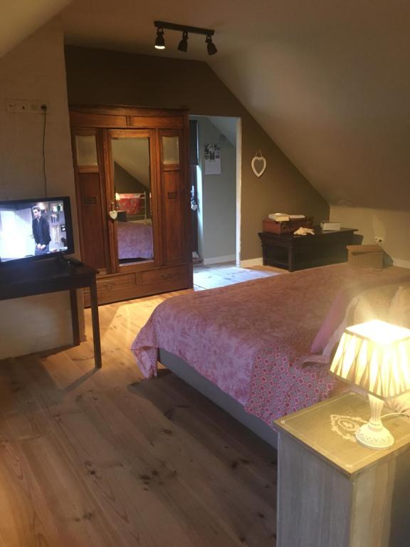 a bedroom with a bed and a television in it at Guesthouse &#39;t Goed Leven in Stokrooie