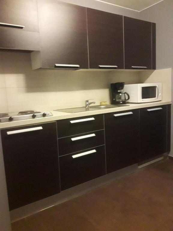 Kuchyň nebo kuchyňský kout v ubytování Hotel La Louve