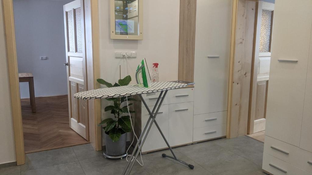 kuchnia ze stołem, na którym stoi roślina w obiekcie Apartman692 w Vrchlabi