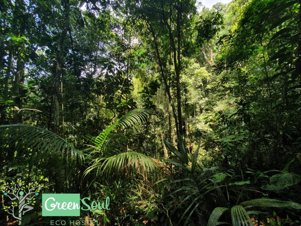  GreenSoul Eco Hostel