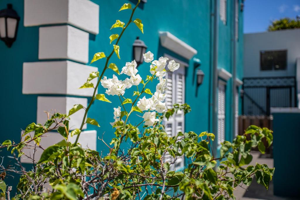 Zahrada ubytování Curaçao Gardens