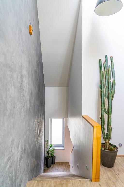 Apartmán ZA-KA 1 ubytování Litovel - Departamento