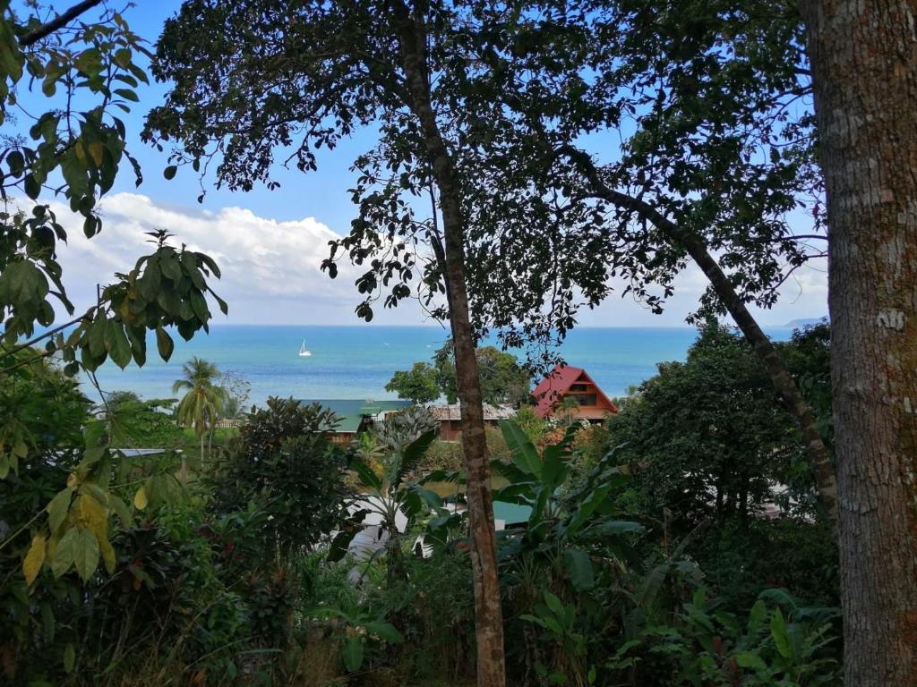 una vista del océano desde detrás de algunos árboles en Casa Jade, en Drake