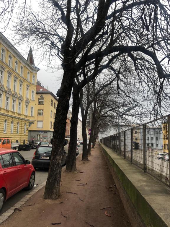 Okolí penzionu