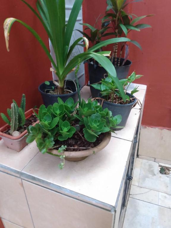  Hospedaria Namastê