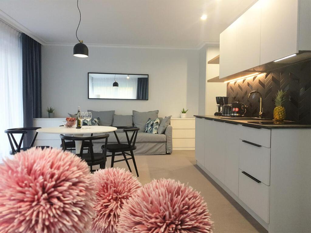斯維諾烏伊希切的住宿－Apartamenty MGA ApartPark，厨房以及带粉红色的蓬杆的起居室。