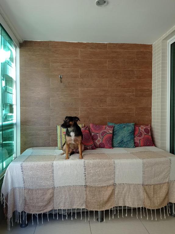  APARTAMENTO 2 QUARTOS CABO FRIO PRAIA DO FORTE