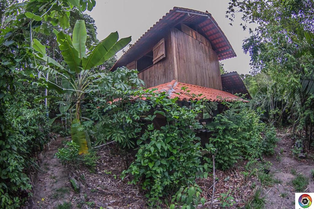  Casa permacultural Curuá