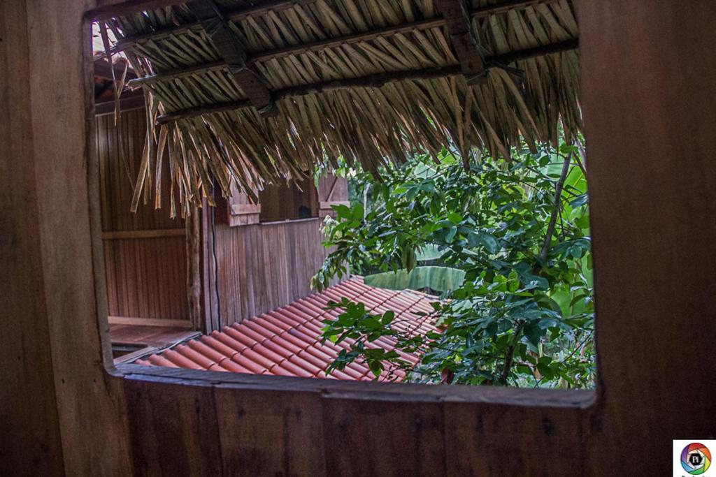  Casa permacultural Curuá
