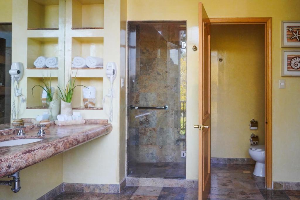 a bathroom with a shower and a sink and a toilet at Gran Hotel de Querétaro in Querétaro