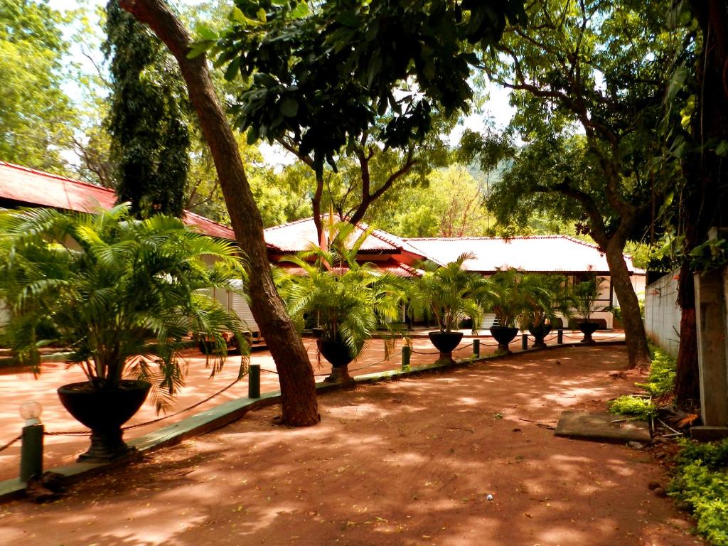 Zahrada ubytování Jayasinghe Holiday Resort