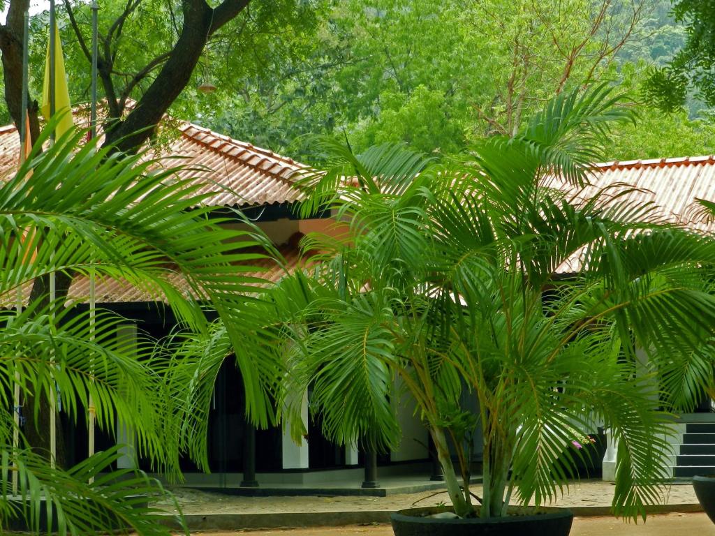 Zahrada ubytování Jayasinghe Holiday Resort