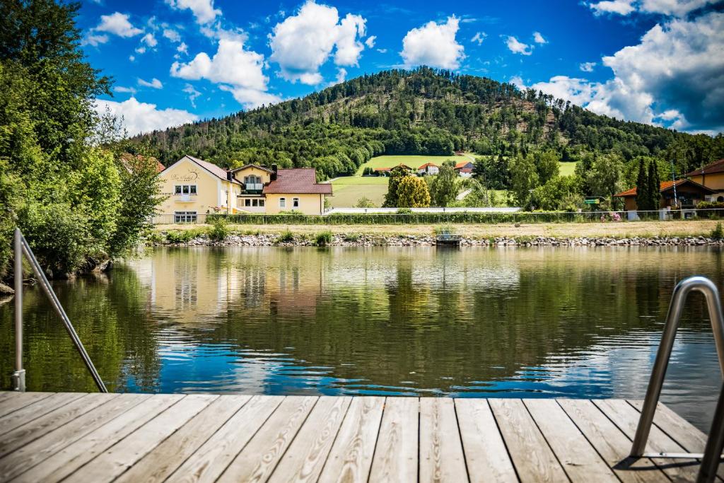 a view of a lake with a house and a mountain at Hotel Der Seehof in Hauzenberg