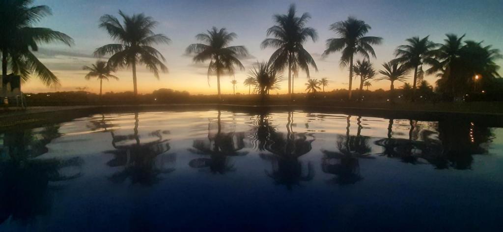 a view of a pool with palm trees at sunset at Condominio Mediterraneo - Iberostate in Praia do Forte