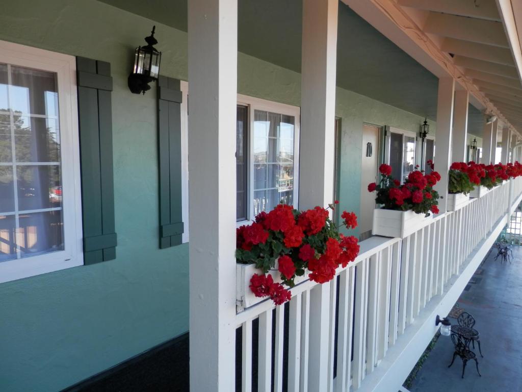 Villa Franca Inn photo