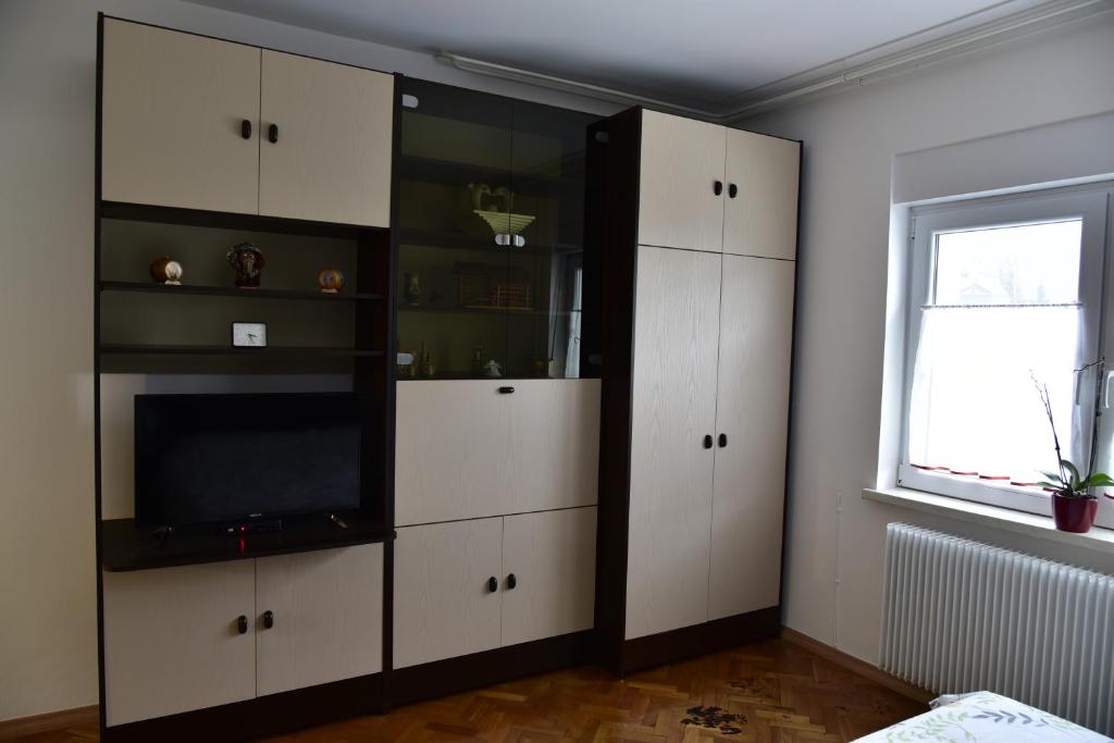 TV a/nebo společenská místnost v ubytování Primula Apartment
