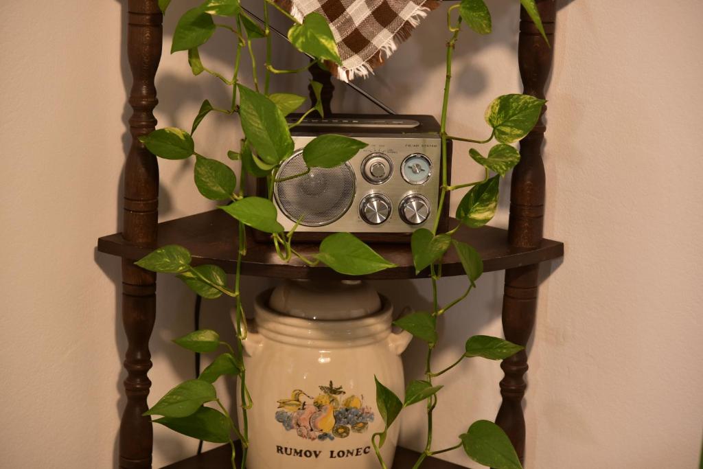 Fotografie z fotogalerie ubytování Primula Apartment v destinaci Blejska Dobrava