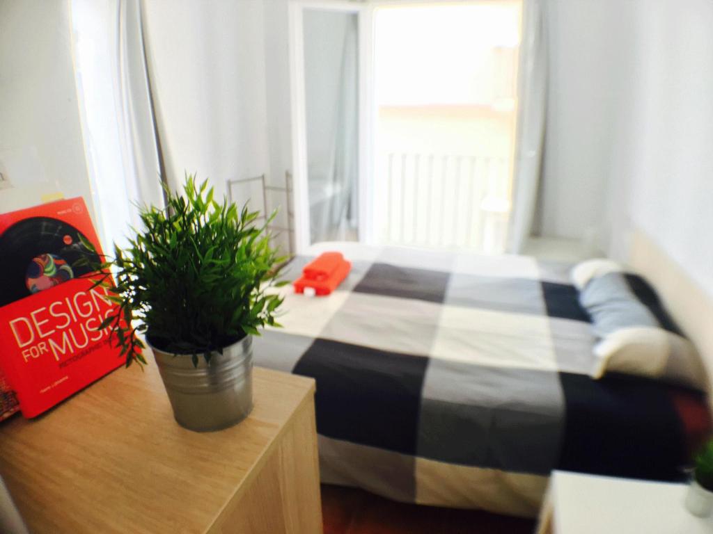 a bedroom with a bed and a potted plant on a table at Centro + wifi+ 2 camas de matrimonio +playa in Cádiz