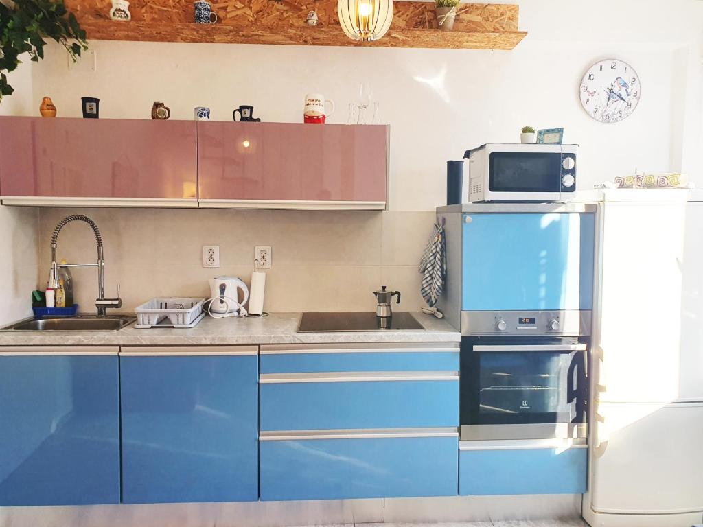 Kuchnia lub aneks kuchenny w obiekcie Apartmani Senka