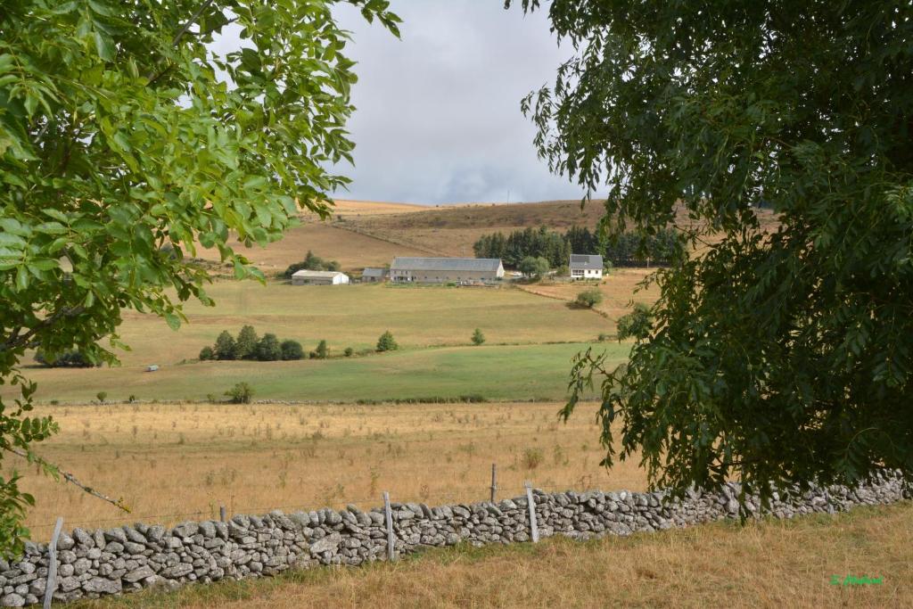a field with a stone fence and a farm at Horizon Aubrac Laguiole in Laguiole
