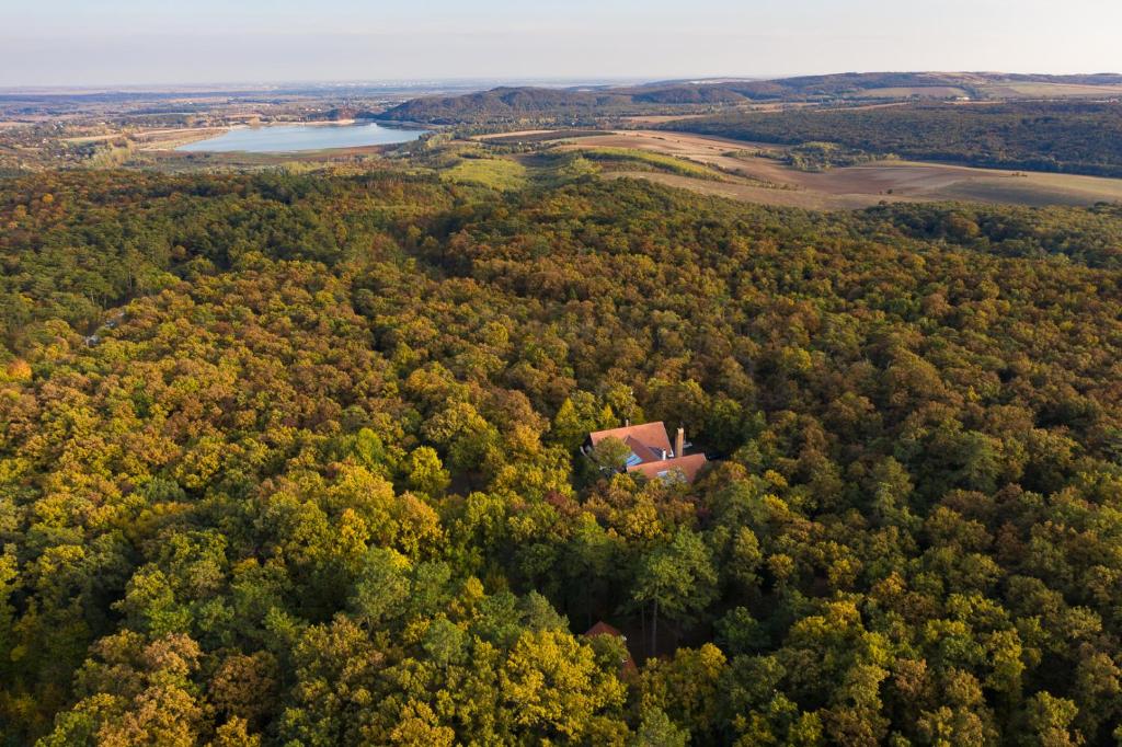 an aerial view of a house in the middle of a forest at Zseri Vadászház in Fehérvárcsurgó