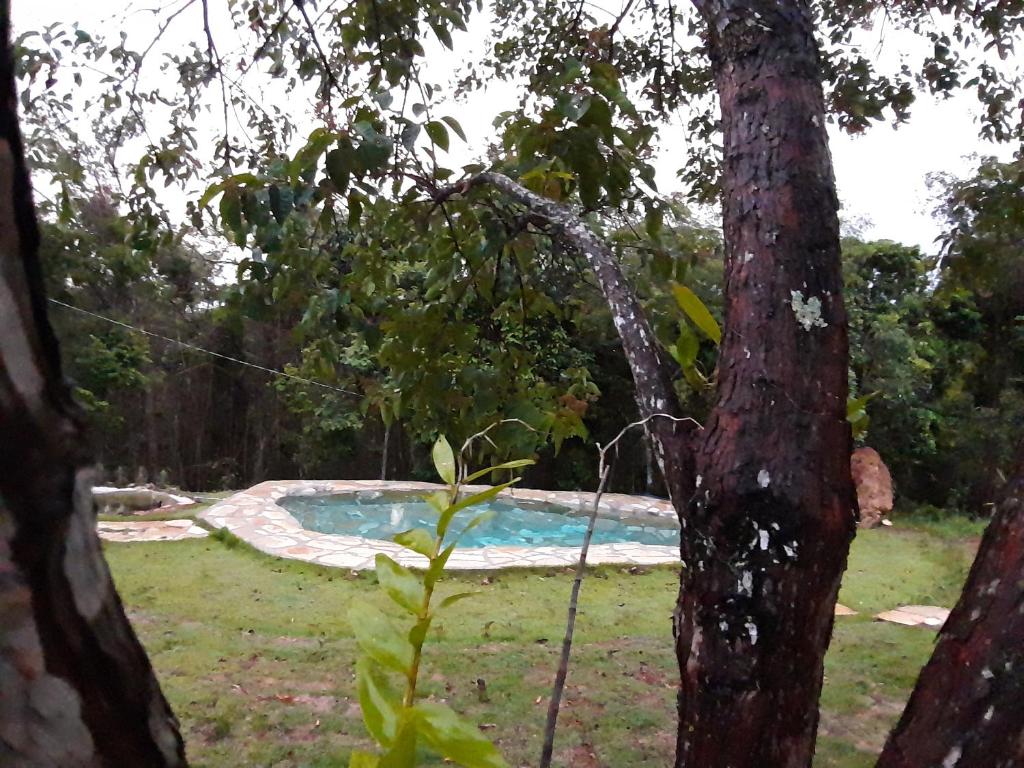 a swimming pool in the middle of a yard with trees at Pousada Natureza in São Thomé das Letras