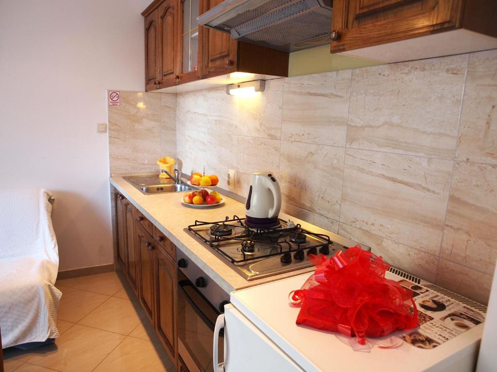 Köök või kööginurk majutusasutuses Apartman Marija