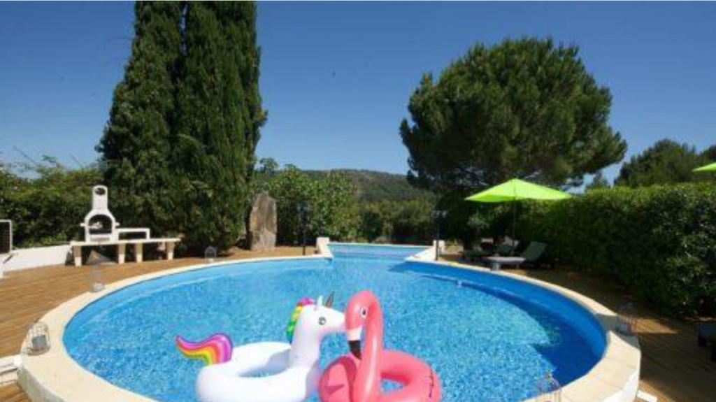 uma piscina com dois cisnes insufláveis em La Villa du Menhir Gîte em Bize-Minervois