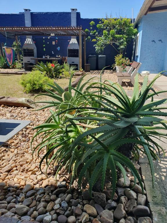 a pineapple plant in a garden with rocks at POUSADA MORADAS DO JAU in Hermenegildo