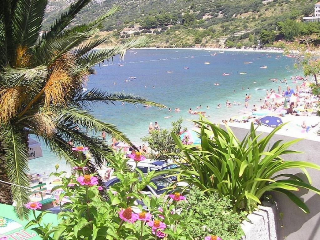 a beach with a bunch of people in the water at Rooms Katja - 10 m from beach in Gradac