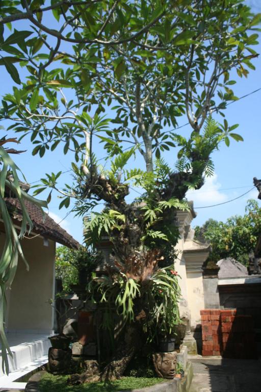 Giardino di Nugraha Guesthouse 1