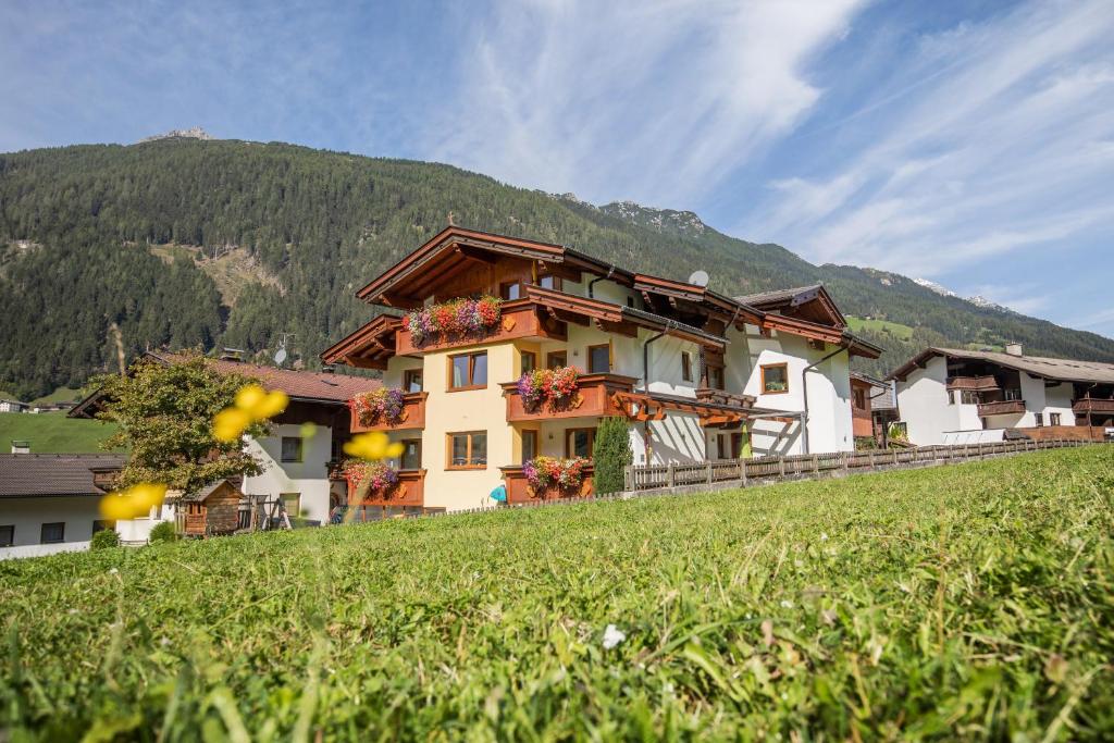 ein Haus an der Seite eines Hügels auf einem Feld in der Unterkunft Haus Rosmarie in Neustift im Stubaital