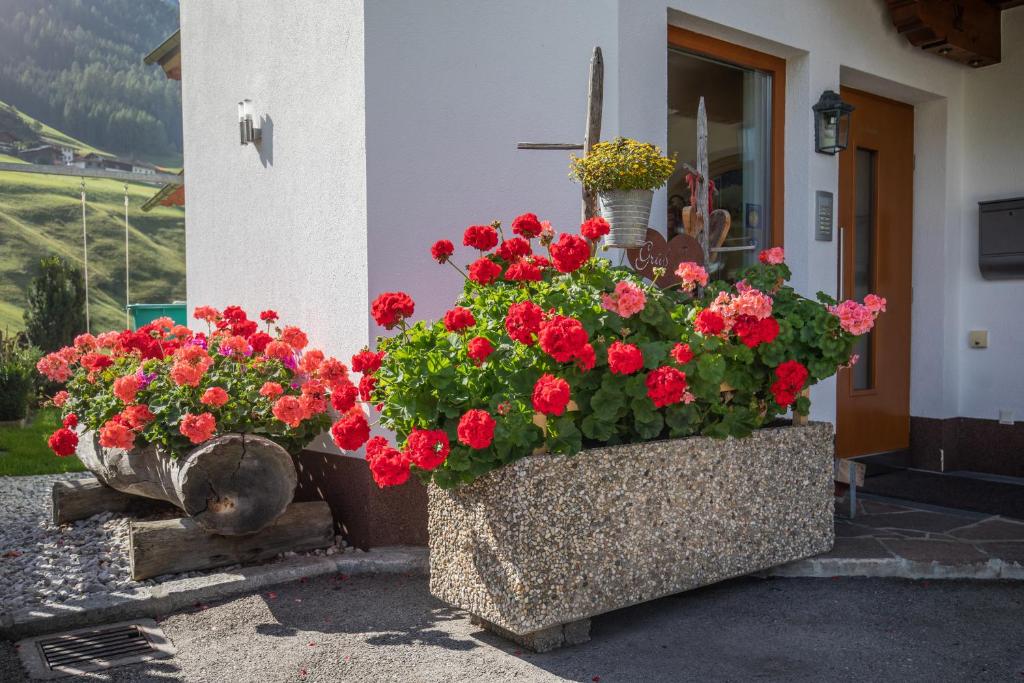 A garden outside Haus Rosmarie